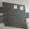 72ac30cf6f3b3bd8d1ef21407a38cbd0_medium Chengde Green Granite Floor Tiles Design